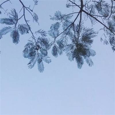 逍遥八仙oppo版本下载